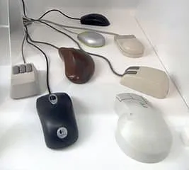 Assorted mice